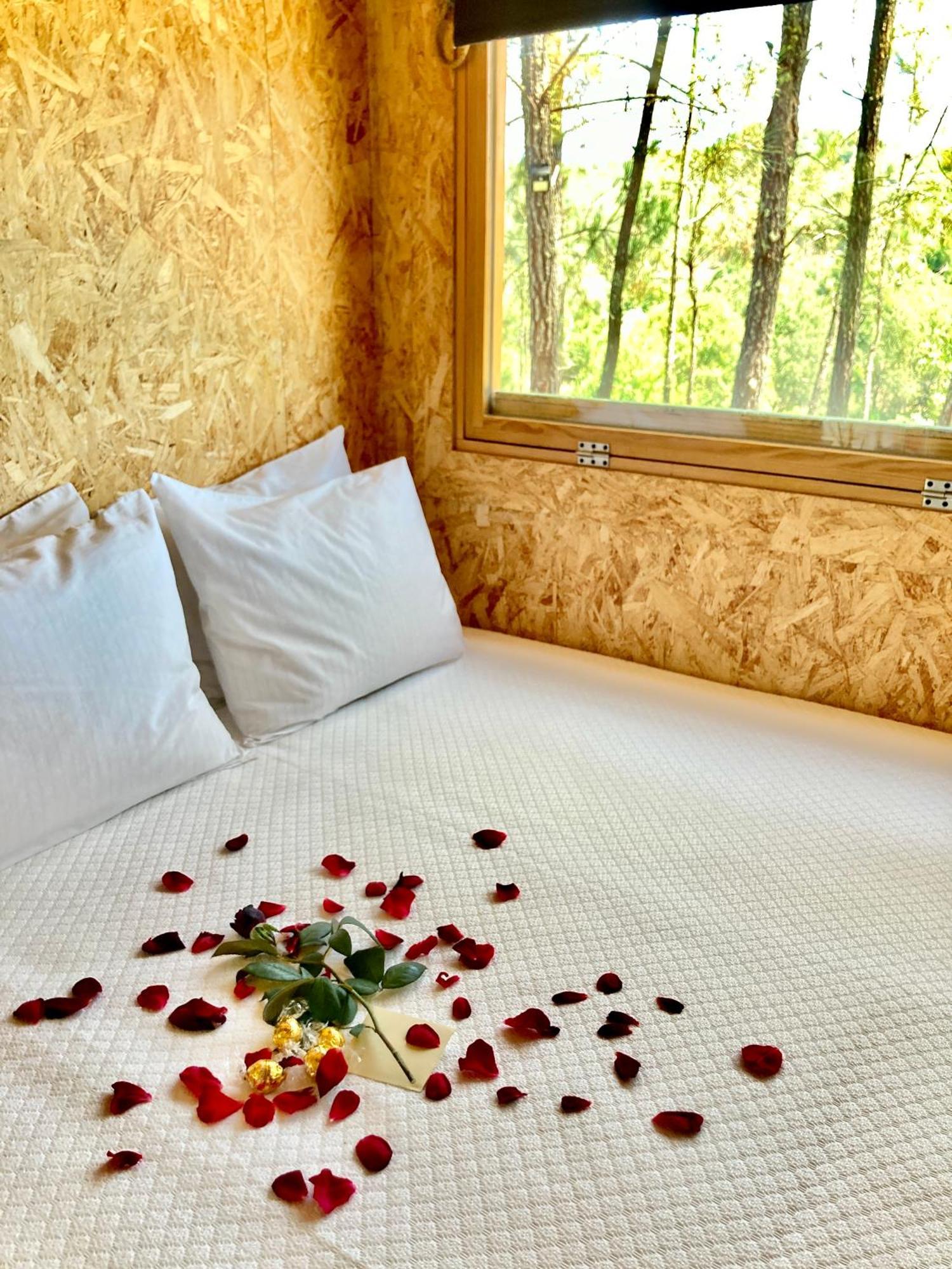 Villa Relax Container Aguiar da Beira Exterior foto